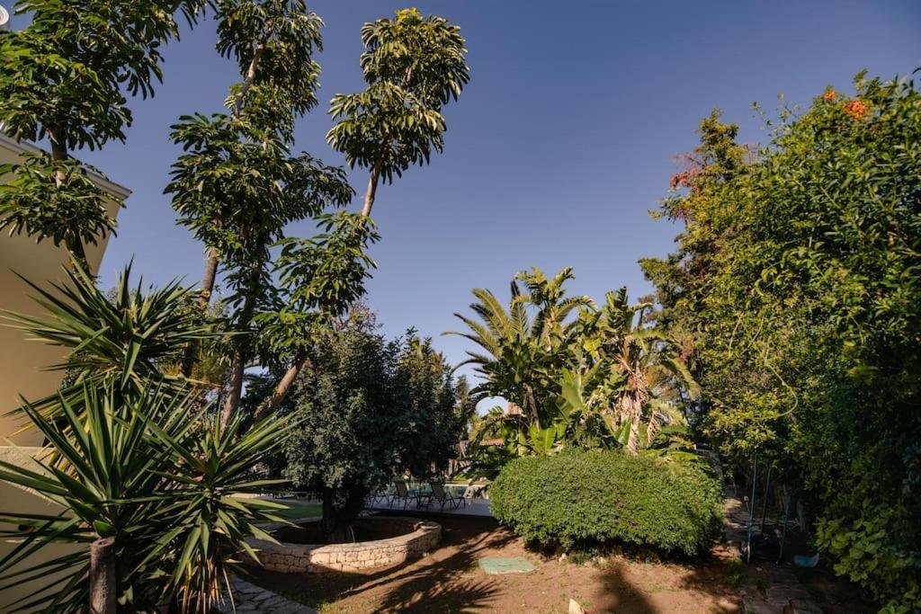 Villa Elmar Aegina Dış mekan fotoğraf